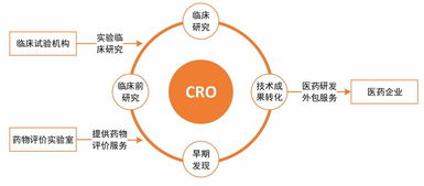 醫(yī)藥研發(fā)外包新藍海 專業(yè)化解析與投資機遇探討