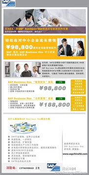 深圳SAP Business One軟件綜合服務(wù)指南 報(bào)價(jià)、實(shí)施、培訓(xùn)與外包解決方案